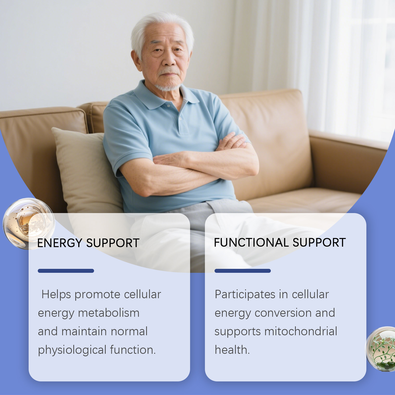 Tetes Peningkat Vitalitas Mera - Nutrition For Health Fitness & Sport Melvin Williams ulasan dan harga